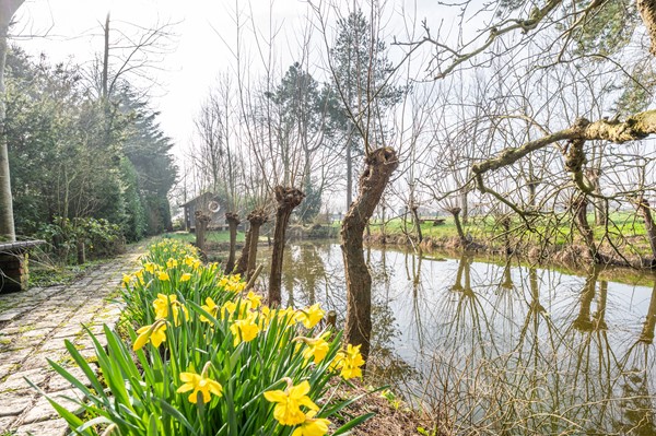 Medium property photo - Noorderbruggeweg 4, 4524 AV Sluis